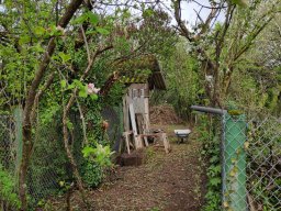 Hausnummer 10 - anschließender Garten