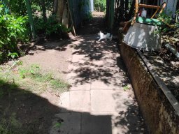 Hausnummer 10 - Gartenbild